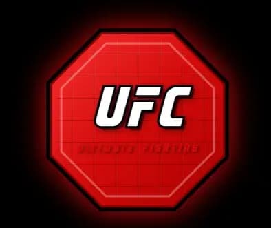 UFC Style